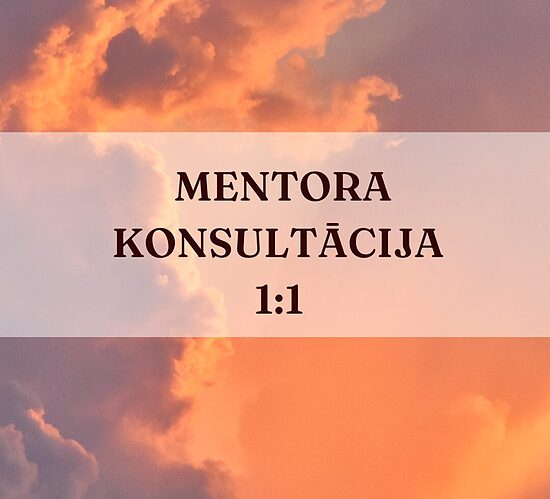 Mentora konsultācija 1:1